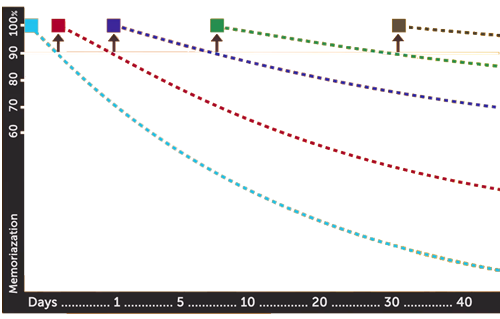 Forgetting Curve